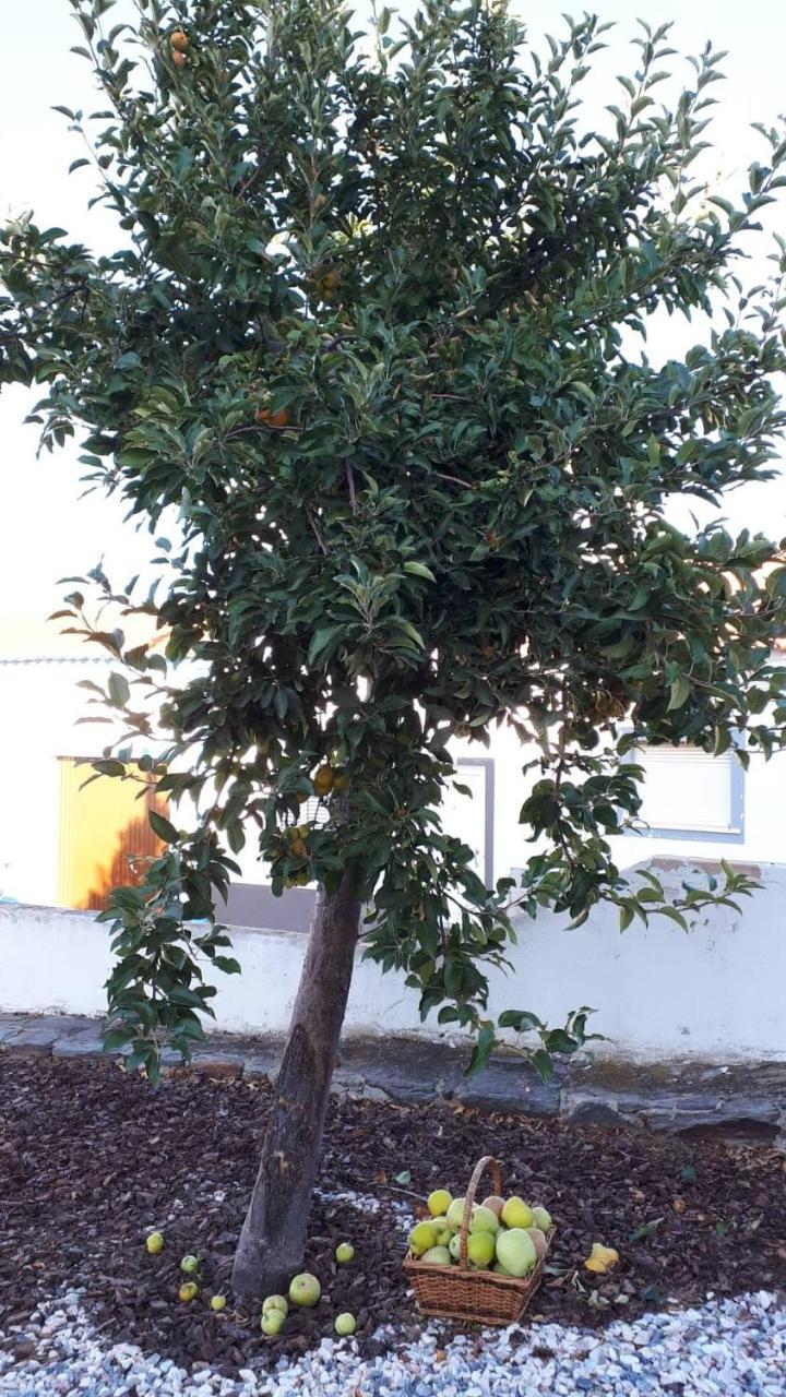 Casa Esquivel Βίλα Mourão Εξωτερικό φωτογραφία